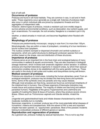lack of cell wall.
Occurrence of protozoa
Protozoa are found in all moist habitats. They are common in sea, in soil and in fresh
water. These organisms occur generally as a single cell. Colonies of protozoa might
also occur in which individual cells are joined by cytoplasmic threads and form
aggregates of independent cells.
However, distinct types of protozoa, include a resistant cyst (non-motile) stage to
survive adverse environmental conditions, such as desiccation, low nutrient supply, and
even anaerobiosis. For example, the soil amoeba, Naegleria is a resistant cyst in dry
18
weather, a naked amoeba in moist soil, and becomes flagellated when flooded with
water.
Morphology of protozoa
Protozoa are predominantly microscopic, ranging in size from 2 to more than 100μm.
Morphologically, they are within a mass of protoplasm, consisting of a true membrane –
bound nucleus and cytoplasm.
The nucleus contains clumped or dispersed chromatin and central nucleolus or
karyosome, which are useful structures to distinguish protozoan species from one
another based on the shape, size and distribution of these structures.
Importance of protozoa
Protozoa serve as an important link in the food chain and ecological balance of many
communities in wetland & aquatic environments. They are also important in biological
sewage treatment, which involves both anaerobic digestion and/or aeration. In addition,
protozoa are important laboratory organisms in research areas, by which their asexual
reproduction enables clones to be established with the same genetic make-up. These
are useful in the study of cell cycles and nucleic acid biosynthesis during cell division.
Medical concern of protozoa
Protozoa are ubiquitous in moist areas, including the human alimentary canal. From an
ecological standpoint, protozoa may be divided into free-living forms and symbiotic
forms. Some of the symbiotic ones are parasitic and may cause disease.
Although most amoebas are free-living, several are found as commensal inhabitants of
the intestinal tract in humans. One of these organisms Entamoeba histolytica may
invade tissue and produce disease. The majority of ciliates are free living and seldom
parasitize humans. Flagellates of the genus Trypanosomes and Leishmania are
capable of invading the blood & tissue of humans, where they produce severe chronic
illness. Others such as Trichomonas vaginalis and Giardia lamblia, inhabit the
19
urogenital and gastrointestinal tracts and initiate disease characterized by mild to
moderate morbidity but no mortality.
Sporozoan organisms, in contrast, produce two of the most potentially lethal diseases of
humankind: malaria and toxoplasmosis. With the advent of HIV a new and important
chapter has been opened; i.e. „opportunistic‟ parasitosis. Most of the parasitic incidents
belong to endocellular protozoa of different genera or species.
Reproduction and regeneration of protozoa
As a general rule, protozoa multiply by asexual reproduction. This is not to say that
 