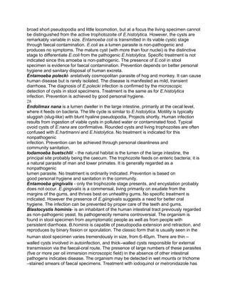broad short pseudopodia and little locomotion, but at a focus the living specimen cannot
be distinguished from the active trophotozoite of E.histolytica. However, the cysts are
remarkably variable in size. Entamoeba coli is transmitted in its viable cystic stage
through faecal contamination. Ε.coli as a lumen parasite is non-pathogenic and
produces no symptoms. The mature cyst (with more than four nuclei) is the distinctive
stage to differentiate E.coli from the pathogenic E.histolytica. Specific treatment is not
indicated since this amoeba is non-pathogenic. The presence of E.coli in stool
specimen is evidence for faecal contamination. Prevention depends on better personal
hygiene and sanitary disposal of human excreta.
Entamoeba polecki- arelatively cosmopolitan parasite of hog and monkey. It can cause
human disease but is rarely isolated. The disease is manifested as mild, transient
diarrhoea. The diagnosis of E.polecki infection is confirmed by the microscopic
detection of cysts in stool specimens. Treatment is the same as for E.histolytica
infection. Prevention is achieved by good personal hygiene.
28
Endolimax nana is a lumen dweller in the large intestine, primarily at the cecal level,
where it feeds on bacteria. The life cycle is similar to E.histolytica. Motility is typically
sluggish (slug-like) with blunt hyaline pseudopodia, Projects shortly. Human infection
results from ingestion of viable cysts in polluted water or contaminated food. Typical
ovoid cysts of E.nana are confirmative. Rounded cysts and living trophozoites are often
confused with E.hartmanni and E.histolytica. No treatment is indicated for this
nonpathogenic
infection. Prevention can be achieved through personal cleanliness and
community sanitation.
Iodamoeba buetschlii: - the natural habitat is the lumen of the large intestine, the
principal site probably being the caecum. The trophozoite feeds on enteric bacteria; it is
a natural parasite of man and lower primates. It is generally regarded as a
nonpathogenic
lumen parasite. No treatment is ordinarily indicated. Prevention is based on
good personal hygiene and sanitation in the community.
Entamoeba gingivalis - only the trophozoite stage presents, and encystation probably
does not occur. E.gingivalis is a commensal, living primarily on exudate from the
margins of the gums, and thrives best on unhealthy gums. No specific treatment is
indicated. However the presence of E.giingivalis suggests a need for better oral
hygiene. The infection can be prevented by proper care of the teeth and gums.
Blastocystis hominis- is an inhabitant of the human intestinal tract previously regarded
as non-pathogenic yeast. Its pathogenecity remains controversial. The organism is
found in stool specimen from asymptomatic people as well as from people with
persistent diarrhoea. B.hominis is capable of pseudopodia extension and retraction, and
reproduces by binary fission or sporulation. The classic form that is usually seen in the
human stool specimen varies tremendously in size, from 6-40μm. There are thin –
walled cysts involved in autoinfection, and thick–walled cysts responsible for external
transmission via the faecal-oral route. The presence of large numbers of these parasites
(five or more per oil immersion microscopic field) in the absence of other intestinal
pathogens indicates disease. The organism may be detected in wet mounts or trichome
–stained smears of faecal specimens. Treatment with iodoquinol or metronidazole has
 