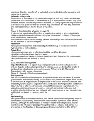giardiasis. Giardia – specific IgA is particularly important in both defense against and
clearance of parasite.
Laboratory diagnosis
Examination of diarrhoeal stool- trophozoite or cyst, or both may be recovered in wet
preparation. In examinations of formed stool (e.g. in asymptomatic carriers) only cysts
are seen. Giardia species may occur in “showers”, i.e. many organisms may be present
in the stool on a given day and few or none may be detected the next day. Therefore
one stool specimen per day for 3 days is important.
40
Figure 5; Giardia lamblia tphozoite (A), cyst (B)
If microscopic examination of the stool is negative in a patient in whom giardiasis is
highly suspected duodenal aspiration, string test (entero-test), or biopsy of the upper
small intestine can be examined.
In addition to conventional microscopy, several immunologic tests can be implemented
for the detection of parasitic antigens.
Treatment
For asymptomatic carriers and diseased patients the drug of choice is quinacrine
hydrochloride or metronidazole.
Prevention
- Asymptomatic reservoirs of infection should be identified & treated.
- Avoidance of contaminated food and water.
- Drinking water from lakesand streams should be boiled, filtered and/or iodinetreated.
- Proper waste disposal and use of latrine.
41
2.1.2. Trichomonas vaginalis
Important features- it is a pear-shaped organism with a central nucleus and four
anterior flagella; and undulating membrane extends about two-thirds of its length. It
exists only as a trophozoite form, and measured 7-23μm long & 5-15μm wide.
Transmission is by sexual intercourse.
Figure 6; Life cycle of Trichomonas vaginalis
Pathogenesis
The trophozoite is found in the urethra & vagina of women and the urethra & prostate
gland of men. After introduction by sexual intercourse, proliferation begins which results
in inflammation & large numbers of trophozoites in the tissues and the secretions. The
onset of symptoms such as vaginal or vulval pruritus and discharge is often sudden and
occurs during or after menstruation as a result of the increased vaginal acidity. The
vaginal secretions are liquors, greenish or yellowish, sometimes frothy, and foul
smelling. Infection in the male may be latent, with no symptoms, or may be present as
self limited, persistent, or recurring urethritis.
42
Epidemiology
This parasite has worldwide distribution, and sexual intercourse is the primary mode of
transmission. Occasionally, infections can be transmitted by fomites (toilet articles,
clothing), although this transmission is limited by liability of the trophozoite. Rarely
Infants may be infected by passage through the mother‟s infected birth canal. The
prevalence of this flagellate in developing countries is reported to be 5% –20% in
 