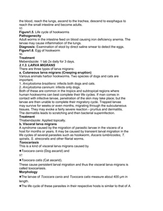 the blood, reach the lungs, ascend to the trachea, descend to esophagus to
reach the small intestine and become adults.
95
Figure1.5. Life cycle of hookworms
Pathogenecity
Adult worms in the intestine feed on blood causing iron deficiency anemia. The
larvae may cause inflammation of the lungs.
Diagnosis: Examination of stool by direct saline smear to detect the eggs.
Figure1.6. Egg of hookworm
96
Treatment
Mebendazole: 1 tab 2x daily for 3 days.
2.1.3. LARVA MIGRANS
There are three types of larva migrans:
a. Cutaneous larva migrans (Creeping eruption)
Various animals harbor hookworms. Two species of dogs and cats are
important.
1. Ancylostoma braziliens: infects both dogs and cats.
2. Ancylostoma caninum: infects only dogs.
Both of these are common in the tropics and subtropical regions where
human hookworms can best complete their life cycles. If man comes in
contact with infective larvae, penetration of the skin may take place; but the
larvae are then unable to complete their migratory cycle. Trapped larvae
may survive for weeks or even months, migrating through the subcutaneous
tissues. They may evoke a fairly severe reaction - pruritus and dermatitis.
The dermatitis leads to scratching and then bacterial superinfection.
Treatment
Thiabendazole: Applied topically.
b. Visceral larva migrans
A syndrome caused by the migration of parasitic larvae in the viscera of a
host for months or years. It may be caused by transient larval migration in the
life cycles of several parasites such as hookworm, Ascaris lumbricoides, T.
spiralis, S. strecoralis and other filarial worms.
Toxocariasis
This is a kind of visceral larva migrans caused by
♦Toxocara canis (Dog ascarid) and
97
♦Toxocara catis (Cat ascarid).
These cause persistent larval migration and thus the visceral larva migrans is
called toxocariasis.
Morphology
♦The larvae of Toxocara canis and Toxocara catis measure about 400 μm in
length.
♦The life cycle of these parasites in their respective hosts is similar to that of A.
 