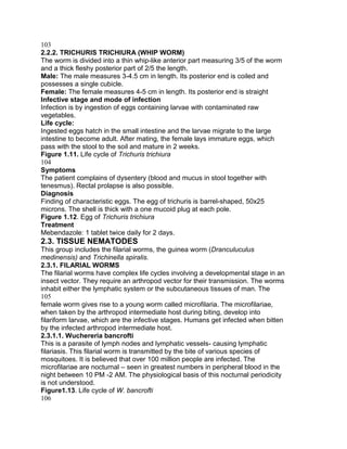 103
2.2.2. TRICHURIS TRICHIURA (WHIP WORM)
The worm is divided into a thin whip-like anterior part measuring 3/5 of the worm
and a thick fleshy posterior part of 2/5 the length.
Male: The male measures 3-4.5 cm in length. Its posterior end is coiled and
possesses a single cubicle.
Female: The female measures 4-5 cm in length. Its posterior end is straight
Infective stage and mode of infection
Infection is by ingestion of eggs containing larvae with contaminated raw
vegetables.
Life cycle:
Ingested eggs hatch in the small intestine and the larvae migrate to the large
intestine to become adult. After mating, the female lays immature eggs, which
pass with the stool to the soil and mature in 2 weeks.
Figure 1.11. Life cycle of Trichuris trichiura
104
Symptoms
The patient complains of dysentery (blood and mucus in stool together with
tenesmus). Rectal prolapse is also possible.
Diagnosis
Finding of characteristic eggs. The egg of trichuris is barrel-shaped, 50x25
microns. The shell is thick with a one mucoid plug at each pole.
Figure 1.12. Egg of Trichuris trichiura
Treatment
Mebendazole: 1 tablet twice daily for 2 days.
2.3. TISSUE NEMATODES
This group includes the filarial worms, the guinea worm (Dranculuculus
medinensis) and Trichinella spiralis.
2.3.1. FILARIAL WORMS
The filarial worms have complex life cycles involving a developmental stage in an
insect vector. They require an arthropod vector for their transmission. The worms
inhabit either the lymphatic system or the subcutaneous tissues of man. The
105
female worm gives rise to a young worm called microfilaria. The microfilariae,
when taken by the arthropod intermediate host during biting, develop into
filariform larvae, which are the infective stages. Humans get infected when bitten
by the infected arthropod intermediate host.
2.3.1.1. Wuchereria bancrofti
This is a parasite of lymph nodes and lymphatic vessels- causing lymphatic
filariasis. This filarial worm is transmitted by the bite of various species of
mosquitoes. It is believed that over 100 million people are infected. The
microfilariae are nocturnal – seen in greatest numbers in peripheral blood in the
night between 10 PM -2 AM. The physiological basis of this nocturnal periodicity
is not understood.
Figure1.13. Life cycle of W. bancrofti
106
 