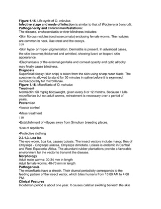 Figure 1.15. Life cycle of O. volvulus
Infective stage and mode of infection is similar to that of Wuchereria bancrofti.
Pathogenecity and clinical manifestations:
The disease, onchocerciasis or river blindness includes:
•Skin fibrous nodules (onchocercomata) enclosing female worms. The nodules
are common in neck, iliac crest and the coccyx.
109
•Skin hypo- or hyper- pigmentation. Dermatitis is present. In advanced cases,
the skin becomes thickened and wrinkled, showing lizard or leopard skin
appearance.
•Elephantiasis of the external genitalia and corneal opacity and optic atrophy
may finally cause blindness.
Diagnosis
Superficial biopsy (skin snip) is taken from the skin using sharp razor blade. The
specimen is allowed to stand for 30 minutes in saline before it is examined
microscopically for microfilariae.
Figure 1.16. Microfilaria of O. volvulus
Treatment
Ivermectin: 50 mg/kg bodyweight, given every 6 or 12 months. Because it kills
microfilariae but not adult worms, retreatment is necessary over a period of
years.
Prevention
•Vector control
•Mass treatment
110
•Establishment of villages away from Simulium breeding places.
•Use of repellents
•Protective clothing
2.3.1.3. Loa loa
The eye worm, Loa loa, causes Loiasis. The insect vectors include mango flies of
Chrysops - Chrysops silacea, Chrysops dimidiata. Loiasis is endemic in Central
and West Equatorial Africa. The abundant rubber plantations provide a favorable
environment for the vector to transmit the disease.
Morphology
Adult male worms: 30-34 mm in length
Adult female worms: 40-70 mm in length
Pathogenesis
The microfilaria have a sheath. Their diurnal periodicity corresponds to the
feeding pattern of the insect vector, which bites humans from 10:00 AM to 4:00
PM.
Clinical Features
Incubation period is about one year. It causes calabar swelling beneath the skin
 
