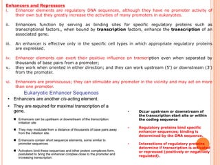 Enhancer Increasing Expression Regulation of gene expression in eukaryotes | PDF