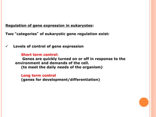 Regulation of gene expression in eukaryotes | PDF