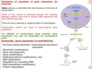 Regulation of gene expression in eukaryotes | PDF