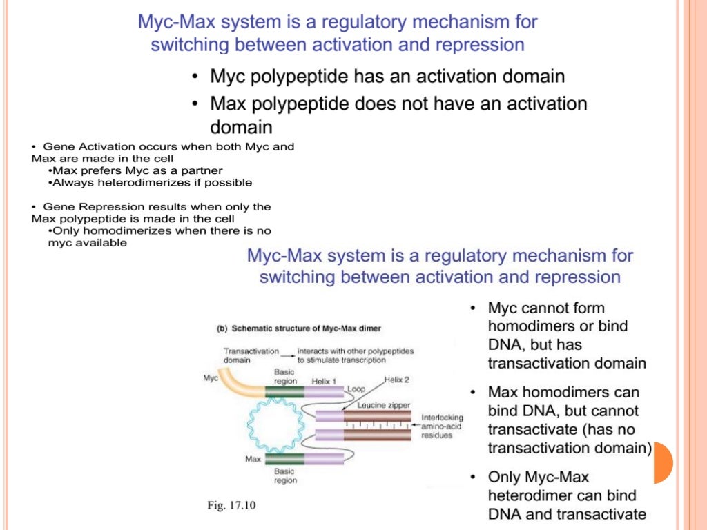Regulation of gene expression in eukaryotes