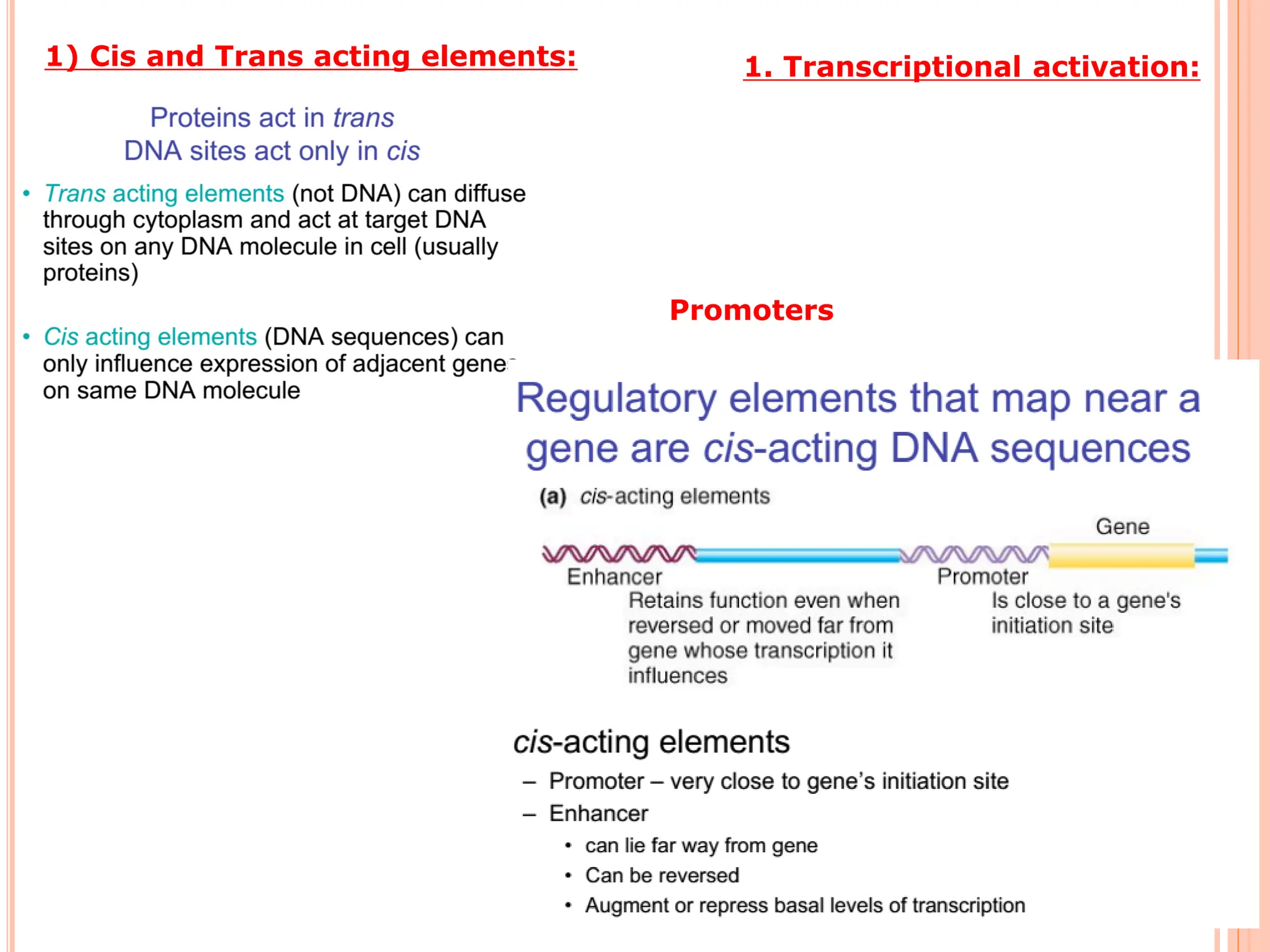 Lecture notes GENE REGULATION IN EUKARYOTES.pdf