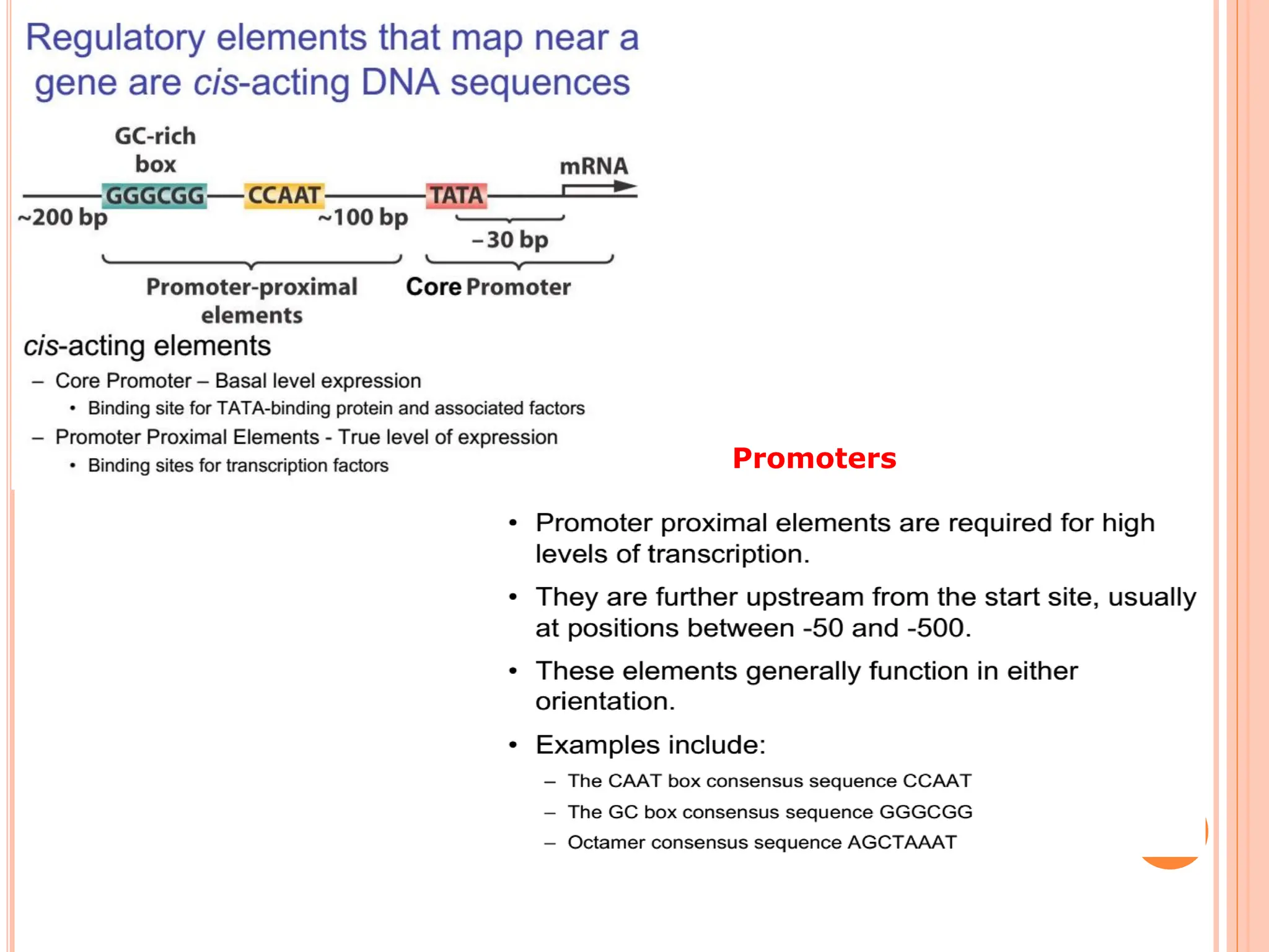 Lecture notes GENE REGULATION IN EUKARYOTES.pdf