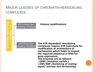 Lecture notes GENE REGULATION IN EUKARYOTES.pdf