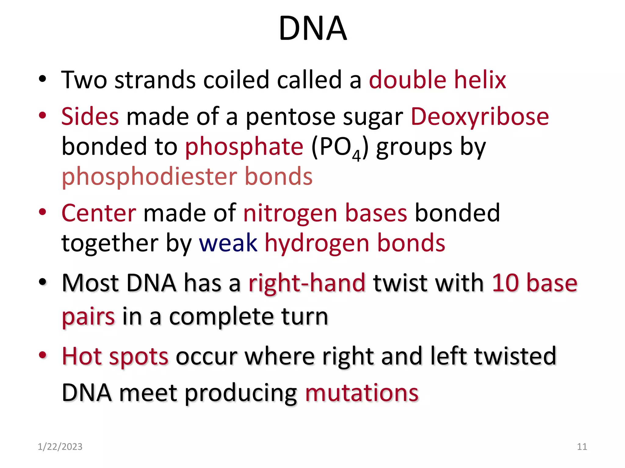 DNA
• Two strands coiled called a double helix
• Sides made of a pentose sugar Deoxyribose
bonded to phosphate (PO4) groups by
phosphodiester bonds
• Center made of nitrogen bases bonded
together by weak hydrogen bonds
• Most DNA has a right-hand twist with 10 base
pairs in a complete turn
• Hot spots occur where right and left twisted
DNA meet producing mutations
1/22/2023 11
 