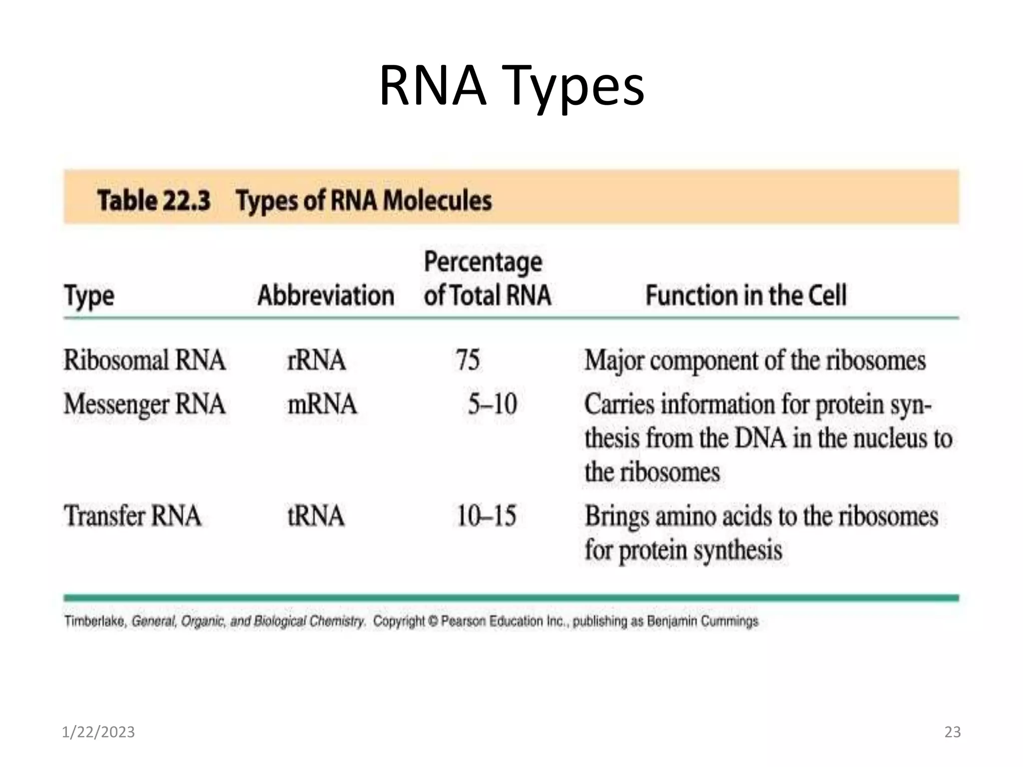 RNA Types
1/22/2023 23
 