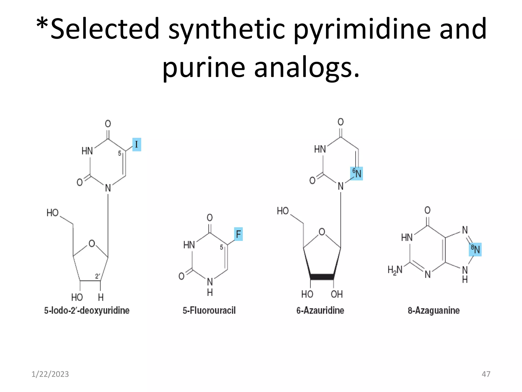 *Selected synthetic pyrimidine and
purine analogs.
1/22/2023 47
 