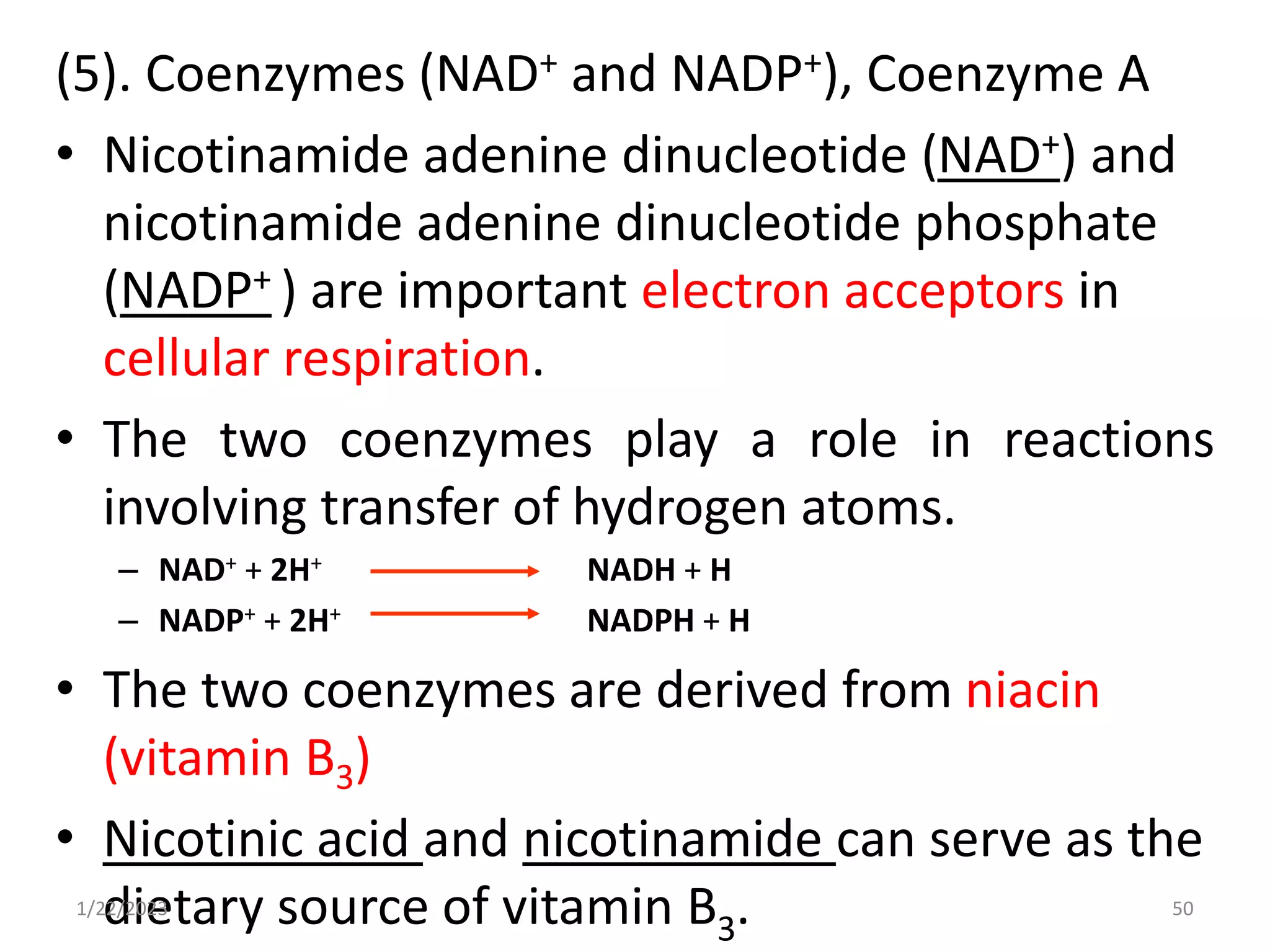 (5). Coenzymes (NAD+ and NADP+), Coenzyme A
• Nicotinamide adenine dinucleotide (NAD+) and
nicotinamide adenine dinucleotide phosphate
(NADP+ ) are important electron acceptors in
cellular respiration.
• The two coenzymes play a role in reactions
involving transfer of hydrogen atoms.
– NAD+ + 2H+ NADH + H
– NADP+ + 2H+ NADPH + H
• The two coenzymes are derived from niacin
(vitamin B3)
• Nicotinic acid and nicotinamide can serve as the
dietary source of vitamin B3.
1/22/2023 50
 