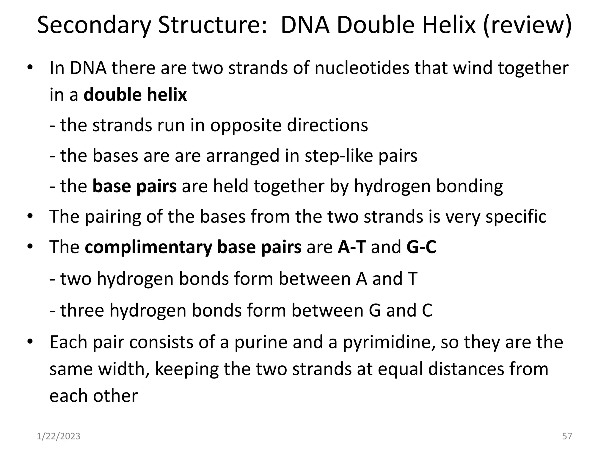 Secondary Structure: DNA Double Helix (review)
• In DNA there are two strands of nucleotides that wind together
in a double helix
- the strands run in opposite directions
- the bases are are arranged in step-like pairs
- the base pairs are held together by hydrogen bonding
• The pairing of the bases from the two strands is very specific
• The complimentary base pairs are A-T and G-C
- two hydrogen bonds form between A and T
- three hydrogen bonds form between G and C
• Each pair consists of a purine and a pyrimidine, so they are the
same width, keeping the two strands at equal distances from
each other
1/22/2023 57
 