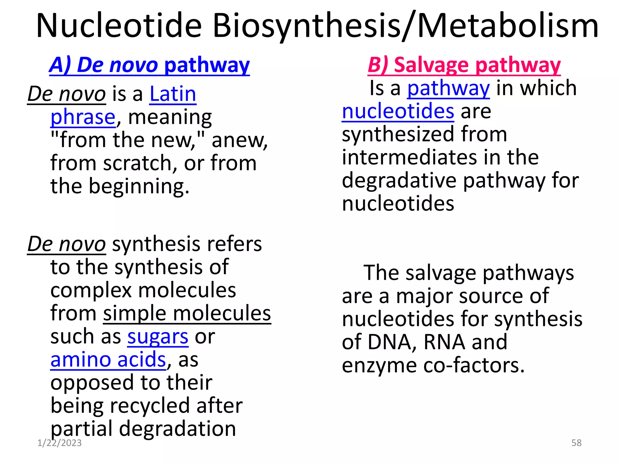 Nucleotide Biosynthesis/Metabolism
A) De novo pathway
De novo is a Latin
phrase, meaning
"from the new," anew,
from scratch, or from
the beginning.
De novo synthesis refers
to the synthesis of
complex molecules
from simple molecules
such as sugars or
amino acids, as
opposed to their
being recycled after
partial degradation
1/22/2023 58
B) Salvage pathway
Is a pathway in which
nucleotides are
synthesized from
intermediates in the
degradative pathway for
nucleotides
The salvage pathways
are a major source of
nucleotides for synthesis
of DNA, RNA and
enzyme co-factors.
 