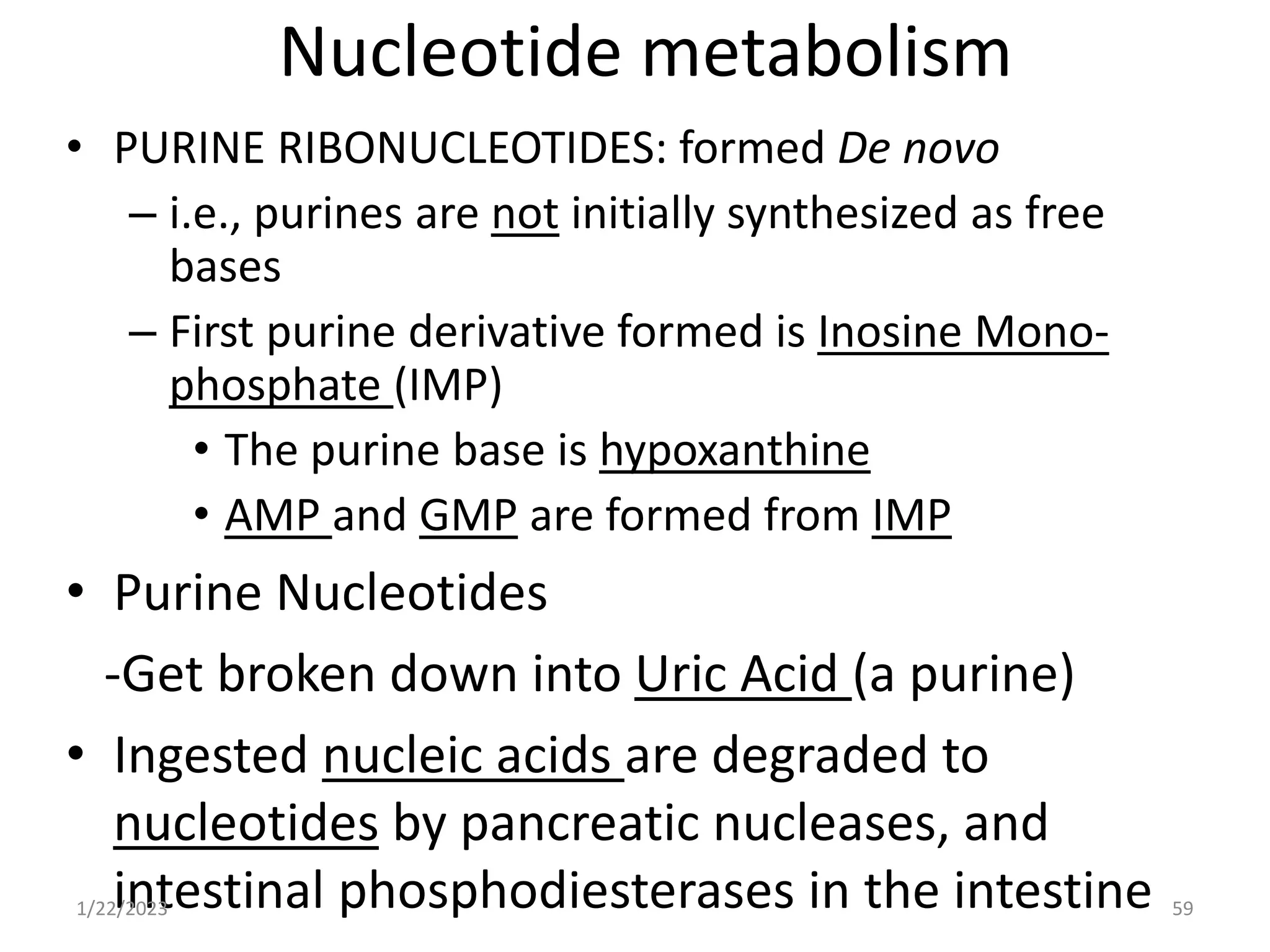 Nucleotide metabolism
• PURINE RIBONUCLEOTIDES: formed De novo
– i.e., purines are not initially synthesized as free
bases
– First purine derivative formed is Inosine Mono-
phosphate (IMP)
• The purine base is hypoxanthine
• AMP and GMP are formed from IMP
• Purine Nucleotides
-Get broken down into Uric Acid (a purine)
• Ingested nucleic acids are degraded to
nucleotides by pancreatic nucleases, and
intestinal phosphodiesterases in the intestine
1/22/2023 59
 