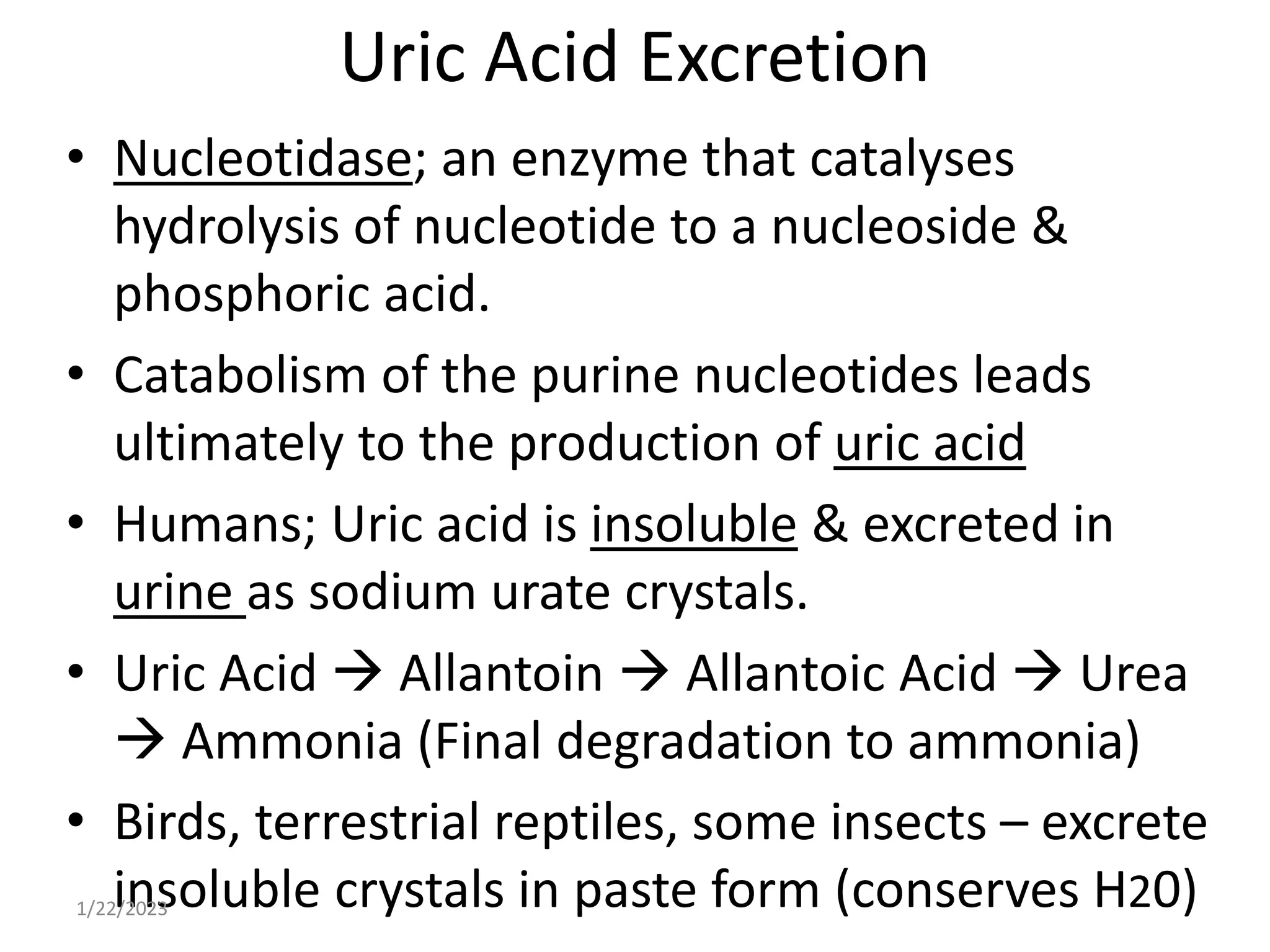 Uric Acid Excretion
• Nucleotidase; an enzyme that catalyses
hydrolysis of nucleotide to a nucleoside &
phosphoric acid.
• Catabolism of the purine nucleotides leads
ultimately to the production of uric acid
• Humans; Uric acid is insoluble & excreted in
urine as sodium urate crystals.
• Uric Acid  Allantoin  Allantoic Acid  Urea
 Ammonia (Final degradation to ammonia)
• Birds, terrestrial reptiles, some insects – excrete
insoluble crystals in paste form (conserves H20)
1/22/2023
 