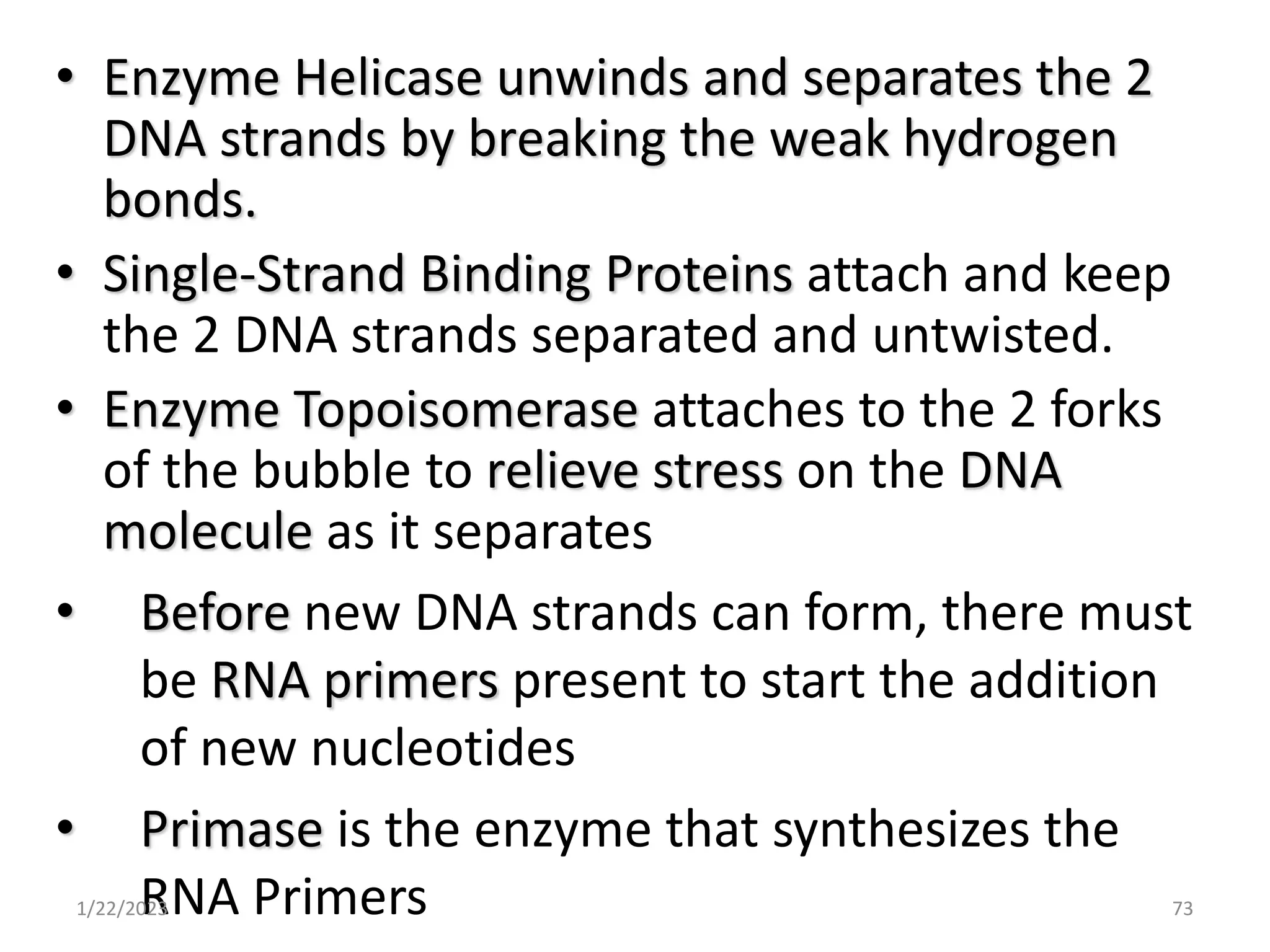 • Enzyme Helicase unwinds and separates the 2
DNA strands by breaking the weak hydrogen
bonds.
• Single-Strand Binding Proteins attach and keep
the 2 DNA strands separated and untwisted.
• Enzyme Topoisomerase attaches to the 2 forks
of the bubble to relieve stress on the DNA
molecule as it separates
• Before new DNA strands can form, there must
be RNA primers present to start the addition
of new nucleotides
• Primase is the enzyme that synthesizes the
RNA Primers
1/22/2023 73
 
