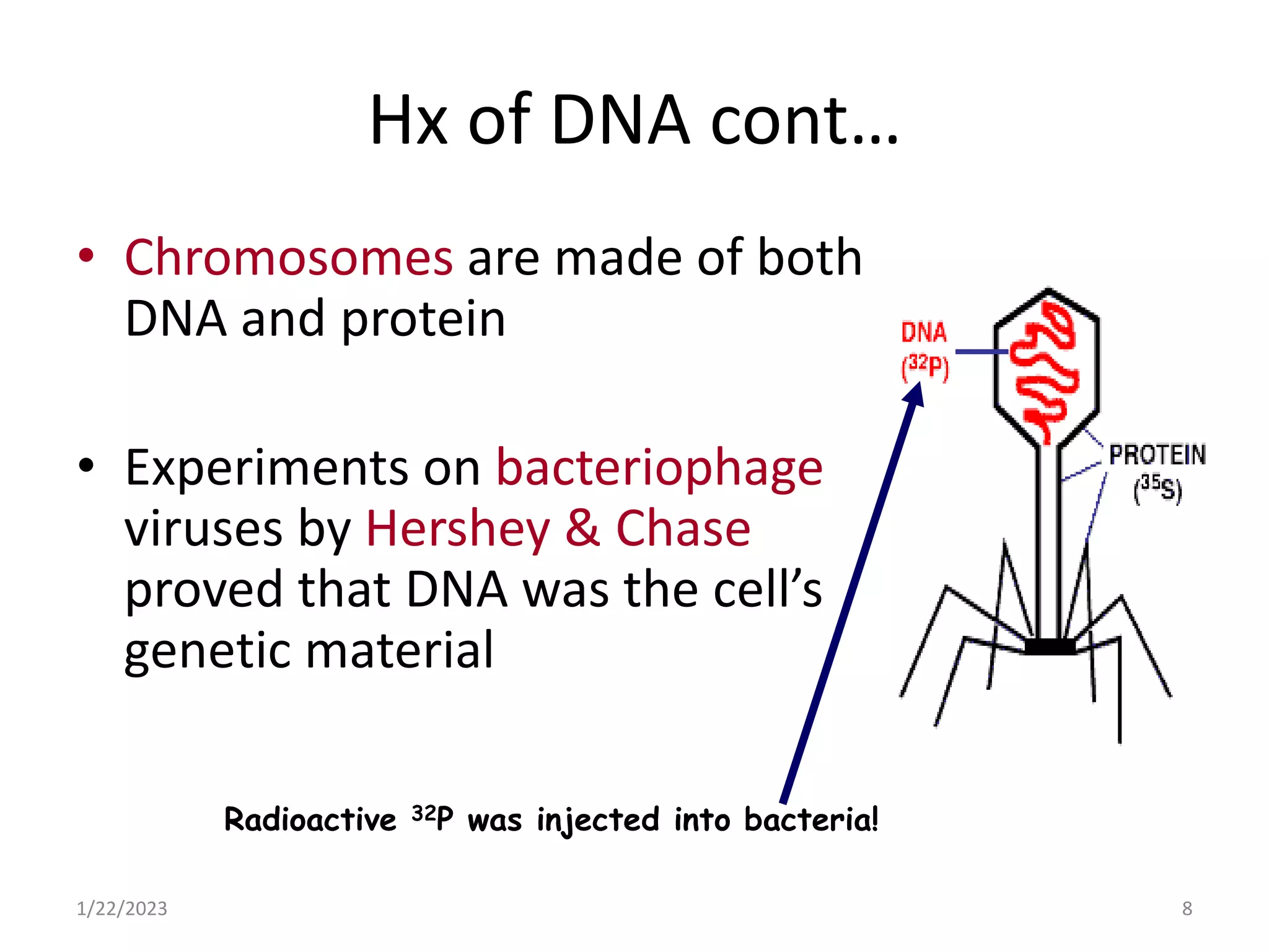 Hx of DNA cont…
• Chromosomes are made of both
DNA and protein
• Experiments on bacteriophage
viruses by Hershey & Chase
proved that DNA was the cell’s
genetic material
1/22/2023 8
Radioactive 32P was injected into bacteria!
 