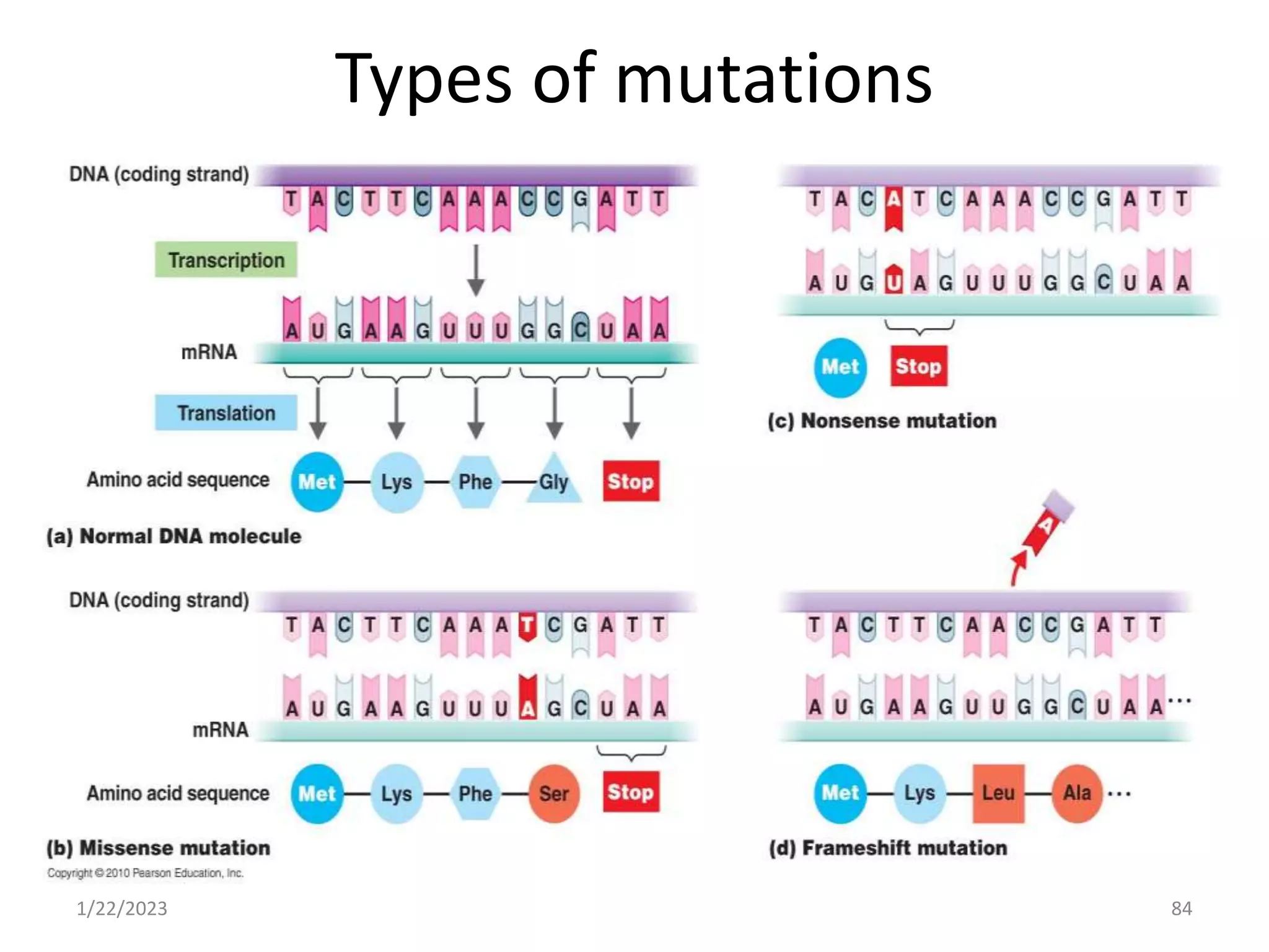 Types of mutations
1/22/2023 84
 