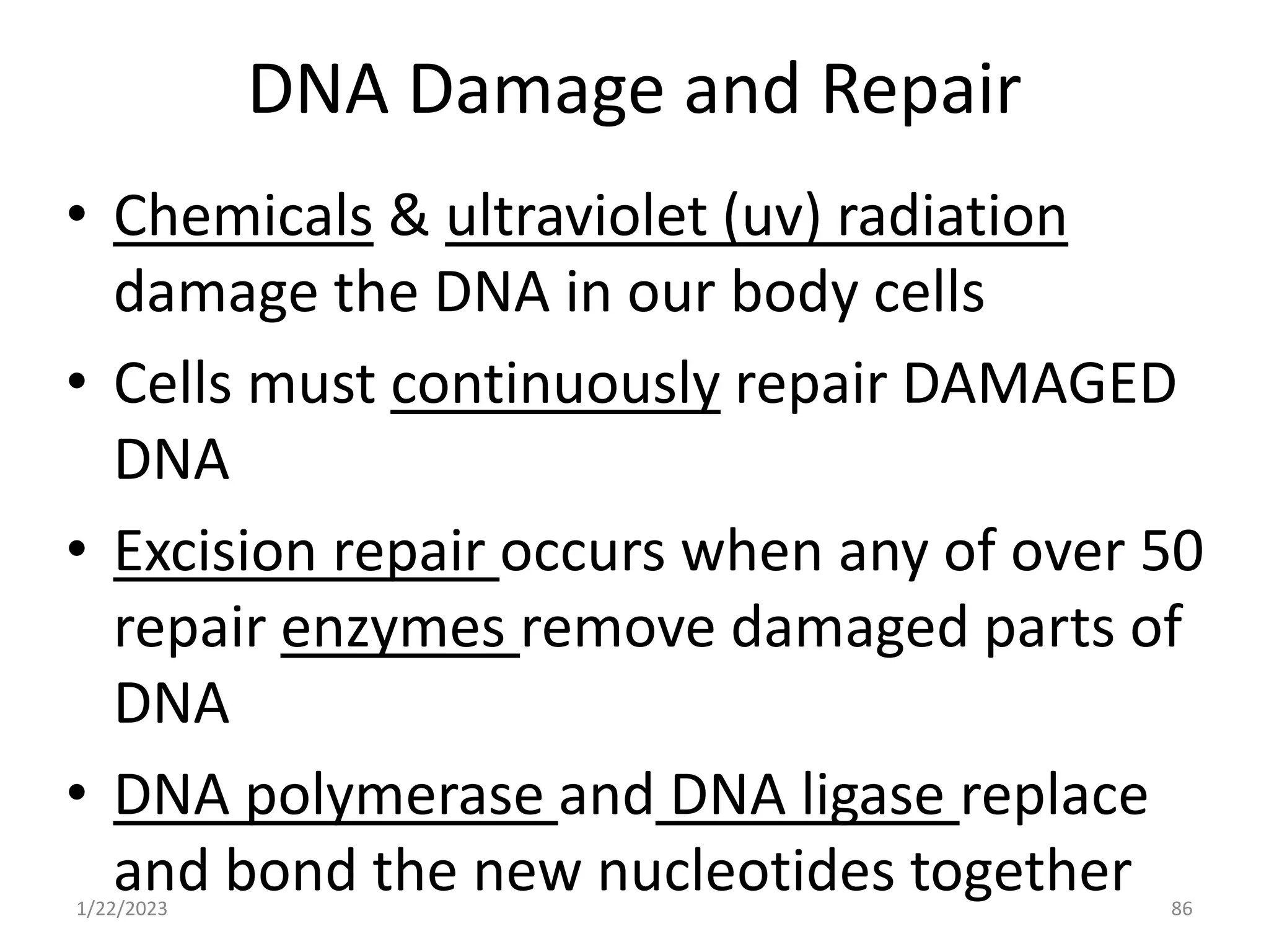 DNA Damage and Repair
• Chemicals & ultraviolet (uv) radiation
damage the DNA in our body cells
• Cells must continuously repair DAMAGED
DNA
• Excision repair occurs when any of over 50
repair enzymes remove damaged parts of
DNA
• DNA polymerase and DNA ligase replace
and bond the new nucleotides together
1/22/2023 86
 