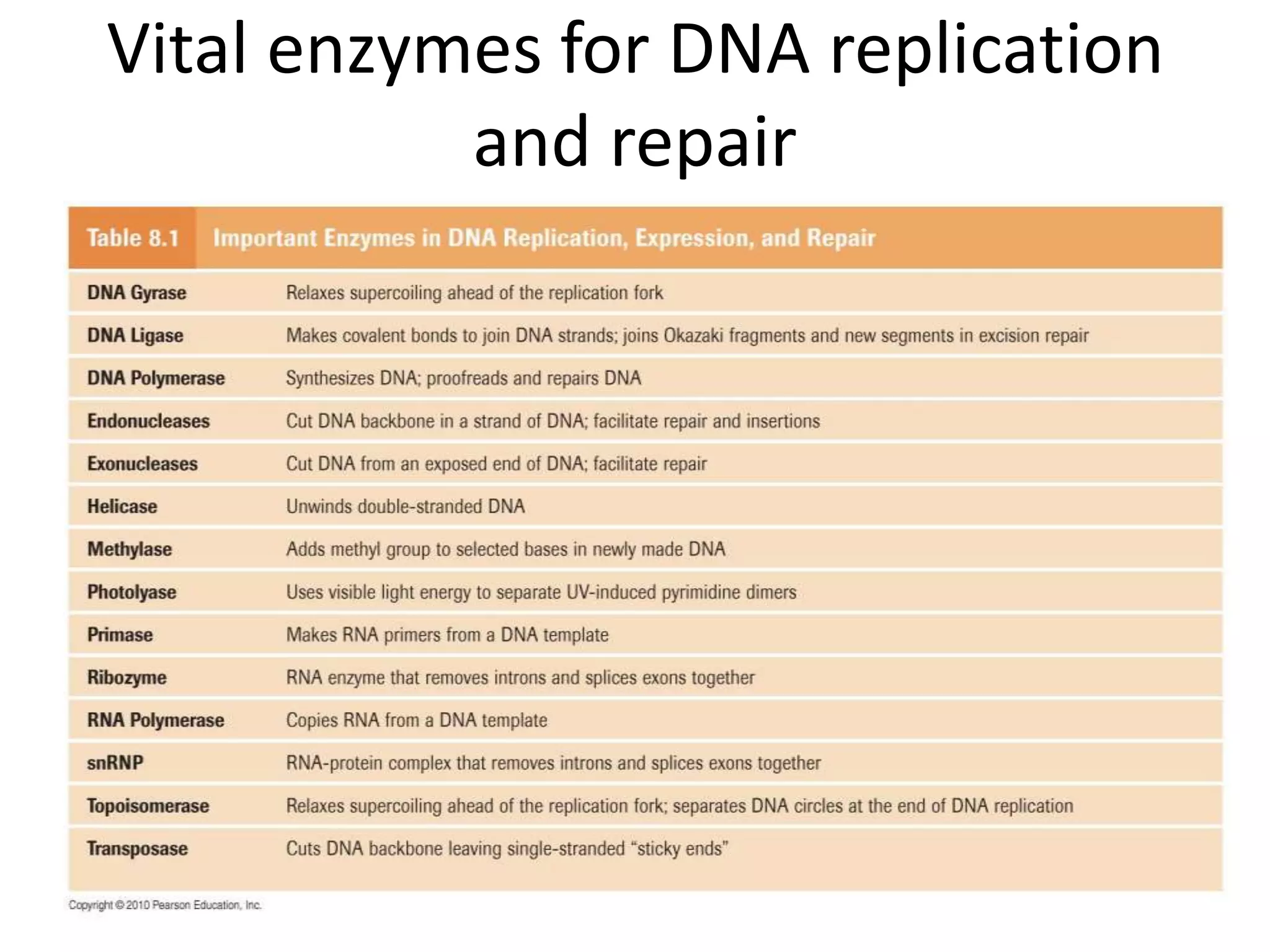 Vital enzymes for DNA replication
and repair
1/22/2023 88
 