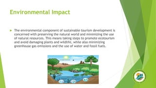 Comprehensive Introduction to Sustainable Tourism Practices | PDF