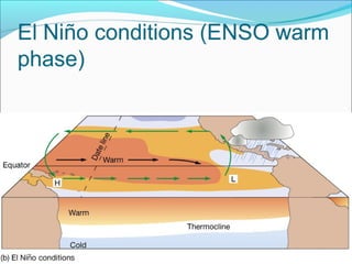 Effects of severe El Niños
 