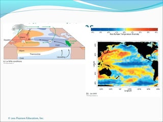 © 2011 Pearson Education, Inc.
Thermohaline Circulation
Originates in high latitude surface ocean
Cooled, now dense surf...