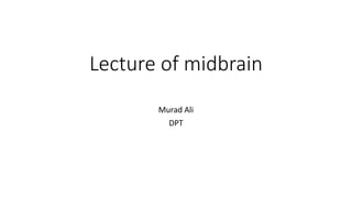 Lecture of midbrain
Murad Ali
DPT
 