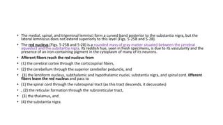 • The medial, spinal, and trigeminal lemnisci form a curved band posterior to the substantia nigra, but the
lateral lemniscus does not extend superiorly to this level (Figs. 5-25B and 5-28).
• The red nucleus (Figs. 5-25B and 5-28) is a rounded mass of gray matter situated between the cerebral
aqueduct and the substantia nigra. Its reddish hue, seen in fresh specimens, is due to its vascularity and the
presence of an iron-containing pigment in the cytoplasm of many of its neurons.
• Afferent fibers reach the red nucleus from
• (1) the cerebral cortex through the corticospinal fibers,
• (2) the cerebellum through the superior cerebellar peduncle, and
• (3) the lentiform nucleus, subthalamic and hypothalamic nuclei, substantia nigra, and spinal cord. Efferent
fibers leave the red nucleus and pass to
• (1) the spinal cord through the rubrospinal tract (as this tract descends, it decussates)
• , (2) the reticular formation through the rubroreticular tract,
• (3) the thalamus, and
• (4) the substantia nigra.
 