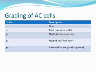 lecture_on_anterior_uveitis_new.ppt