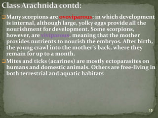 Lecture on arthropods and echinoderms.ppt