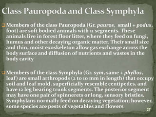 Lecture on arthropods and echinoderms.ppt