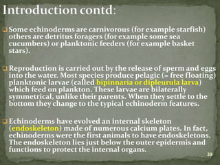 Lecture on arthropods and echinoderms.ppt