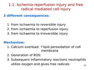 Principles of cell injury and cellular adaptation .ppt Slide 13