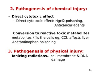 Principles of cell injury and cellular adaptation .ppt Slide 14