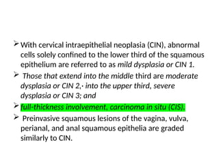 With cervical intraepithelial neoplasia (CIN), abnormal
cells solely confined to the lower third of the squamous
epithelium are referred to as mild dysplasia or CIN 1.
 Those that extend into the middle third are moderate
dysplasia or CIN 2,· into the upper third, severe
dysplasia or CIN 3; and
full-thickness involvement, carcinoma in situ (CIS).
 Preinvasive squamous lesions of the vagina, vulva,
perianal, and anal squamous epithelia are graded
similarly to CIN.
 