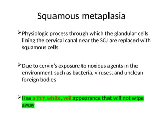 Squamous metaplasia
Physiologic process through which the glandular cells
lining the cervical canal near the SCJ are replaced with
squamous cells
Due to cervix’s exposure to noxious agents in the
environment such as bacteria, viruses, and unclean
foreign bodies
Has a thin white, veil appearance that will not wipe
away
 