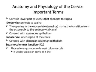 Anatomy and Physiology of the Cervix:
Important Terms
 Cervix is lower part of uterus that connects to vagina
Exocervix: connects to vagina
 The opening in the exocervix(external os) marks the transition from
the ectocervix to the endocervical canal
 Covered with squamous epithelium
Endocervix: inner region of the cervix
 Covered with glandular columnar epithelium
Squamocolumnar junction (SCJ)
 Place where squamous cells meet columnar cells
 Is usually visible on cervix as a line
 