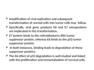  Amplification of viral replication and subsequent
transformation of normal cells into tumor cells may follow.
 Specifically, viral gene products E6 and E7 oncoproteins
are implicated in this transformation.
 E7 protein binds to the retinoblastoma (Rb) tumor
suppressor protein, whereas E6 binds to the p53 tumor
suppressor protein.
 In both instances, binding leads to degradation of these
suppressor proteins.
 The E6 effect of p53 degradation is well studied and linked
with the proliferation and immortalization of cervical cells.
 