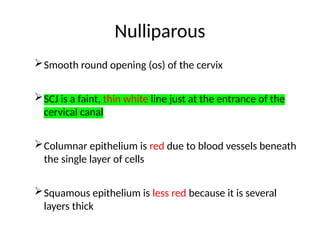Nulliparous
Smooth round opening (os) of the cervix
SCJ is a faint, thin white line just at the entrance of the
cervical canal
Columnar epithelium is red due to blood vessels beneath
the single layer of cells
Squamous epithelium is less red because it is several
layers thick
 