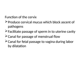 Function of the cervix
Produce cervical mucus which block ascent of
pathogens
Facilitate passage of sperm in to uterine cavity
Canal for passage of menstrual flow
Canal for fetal passage to vagina during labor
by dilatation
 