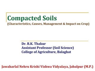 Compacted Soils