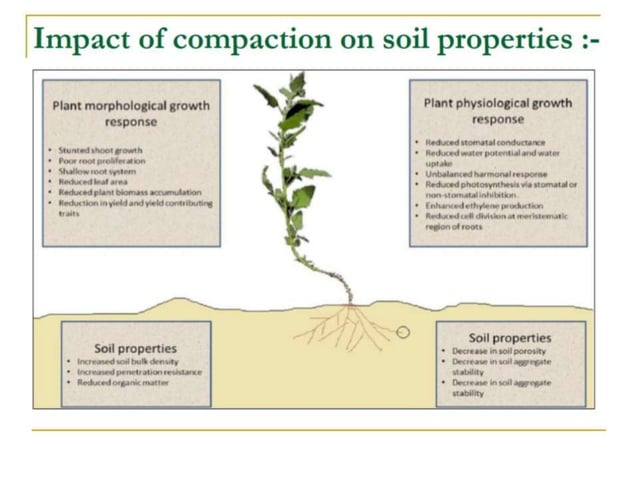 Compacted Soils | PPTX