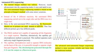 Automated DNA sequencing:
 The manual Sanger method was tedious. However, recent
advancement into the sequencing makes it easy and rapid to use.
The semi-automated Sanger sequencing method is based on the
principle of Sanger’s method with some minor variations.
 Instead of the 4 different reactions, the automated DNA
sequencing carried out in the single tube and the DNA runs in a
single lane.
 Here, in the semi-automated DNA sequencing, the fluorescent-
labeled set of primers are used, instead of ddNTPs. Thus four
different primers give four different peaks.
 The PAGE method isn’t capable of separating all the fragments
in a single reaction. Therefore, alternatively, the capillary gel
electrophoresis method is practiced. This method separates each
and every single fragment precisely.
 The capillary electrophoresis used to separate DNA molecules
on the basis of the size, it is powerful enough to separate single
base pair fragment. The chromatogram generated through the
C.E sent the output as a fluorescent peak.
The advanced semi-automated Sanger sequencing
method is more accurate, reliable and faster than
the traditional method.
 