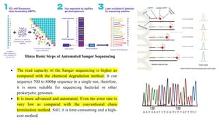 Three Basic Steps of Automated Sanger Sequencing
 The read capacity of the Sanger sequencing is higher as
compared with the chemical degradation method. It can
sequence 700 to 800bp sequence in a single run, therefore,
it is more suitable for sequencing bacterial or other
prokaryotic genomes.
 It is more advanced and automated. Even the error rate is
very low as compared with the conventional chain
termination method. Still, it is time-consuming and a high-
cost method.
 