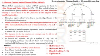 1. Chemical Cleavage Method (Maxam–Gilbert Method):
Maxam Gilbert sequencing is a method of DNA sequencing developed by
Allan Maxam and Walter Gilbert in 1976–1977. This method is based on
nucleobase-specific partial chemical modification of DNA and subsequent
cleavage at specific bases of the DNA backbone at sites adjacent to the
modified nucleotides.
 The method requires radioactive labelling at one end and purification of the
DNA fragment to be sequenced.
 Chemical treatment generates breaks at small proportions of one or two
of the four nucleotide based in each of four reactions (G, A+G, C, T +
C).
 Thus a series of labelled fragments is generated, from the radiolabelled end
to the first ‘cut’ site in each molecule.
 The fragments in the four reactions are arranged side by side in gel
electrophoresis for size separation.
 To visualize the fragments, the gel is exposed to X-ray film for
autoradiography, yielding a series of dark bands each corresponding to a
radiolabelled DNA fragment, from which the sequence may be inferred.
Features:
 Base-specific cleavage of DNA by certain chemicals
 Four different chemicals, one for each base
 A set of DNA fragments of different sizes
 DNA fragments contain up to 500 nucleotides
 Hydrazine: T + C
 Hydrazine NaCl: C
 Dimethyl sulfate: A + G
 Piperidine: G
Sequencing of an Oligonucleotide by Maxam-Gilbert method
 