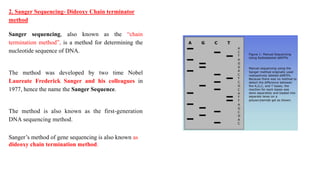 2. Sanger Sequencing- Dideoxy Chain terminator
method
Sanger sequencing, also known as the “chain
termination method”, is a method for determining the
nucleotide sequence of DNA.
The method was developed by two time Nobel
Laureate Frederick Sanger and his colleagues in
1977, hence the name the Sanger Sequence.
The method is also known as the first-generation
DNA sequencing method.
Sanger’s method of gene sequencing is also known as
dideoxy chain termination method.
 