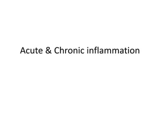 Acute & Chronic inflammation
 